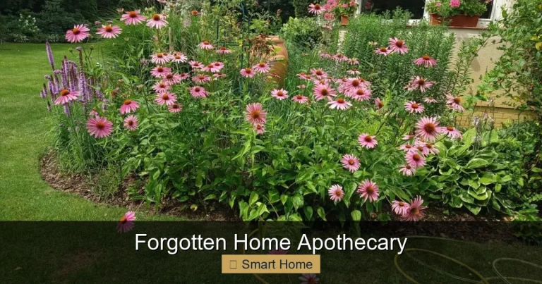 Forgotten Home Apothecary