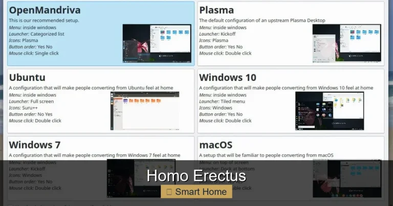 Homo Erectus