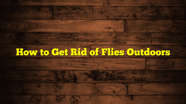 How to Get Rid of Flies Outdoors