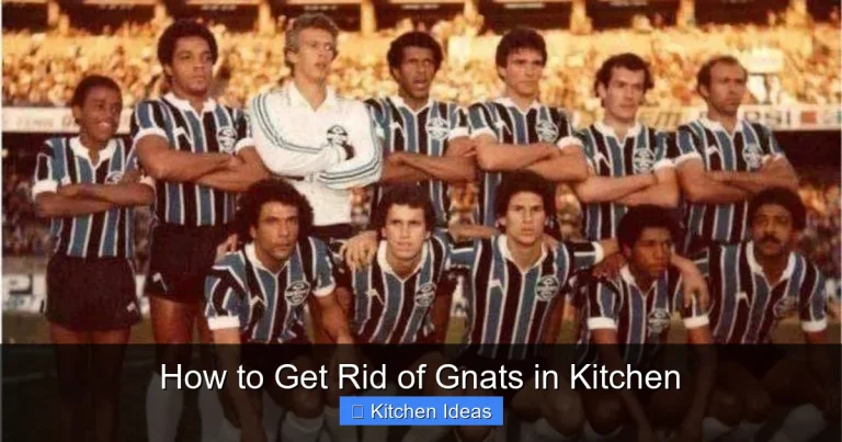 How to Get Rid of Gnats in Kitchen