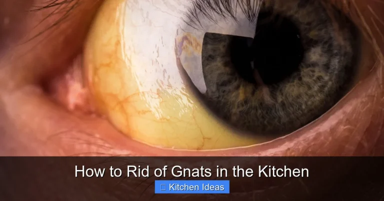 How to Rid of Gnats in the Kitchen