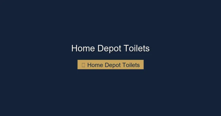 Home Depot Toilets
